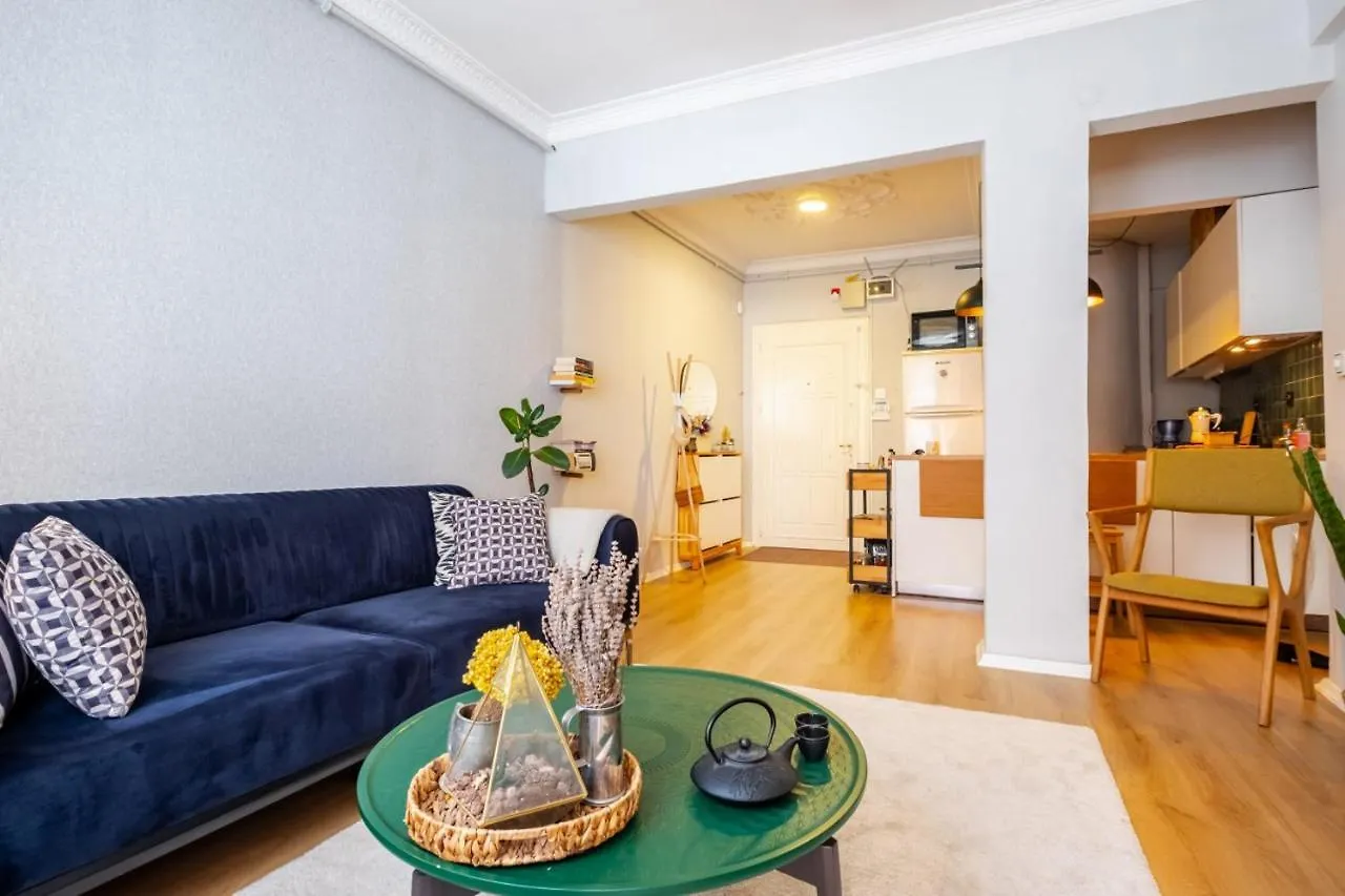 Eclectic Flat Near Metro With Terrace In Kadikoy Apartment Istanbul Turkey